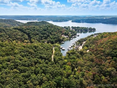 Lakefront opportunity on the 34 MM! This wooded cove location - photo 18