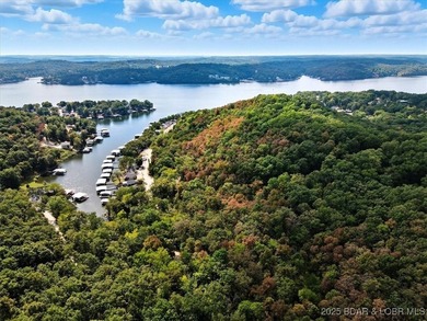 Lakefront opportunity on the 34 MM! This wooded cove location - photo 19