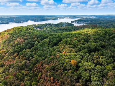 Lakefront opportunity on the 34 MM! This wooded cove location - photo 20