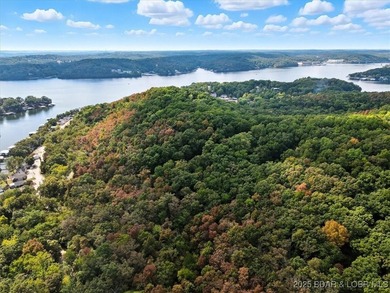 Lakefront opportunity on the 34 MM! This wooded cove location - photo 21