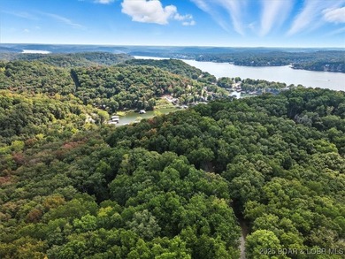 Lakefront opportunity on the 34 MM! This wooded cove location - photo 27