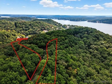 Lakefront opportunity on the 34 MM! This wooded cove location - photo 30