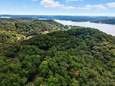 Lakefront opportunity on the 34 MM! This wooded cove location - photo 31