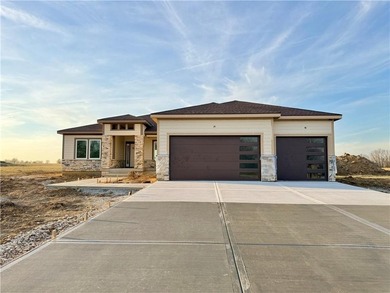 (private lake, pond, coastal) Home For Sale in Adrian Missouri