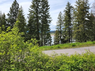 Flathead Lake Lot For Sale in Bigfork Montana