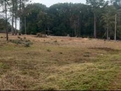 Lake Lot For Sale in Cordele, Georgia