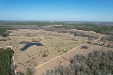 (private lake, pond, creek) Acreage For Sale in Sheridan Arkansas