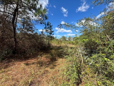 Toledo Bend Lake Acreage For Sale in Hemphill Texas