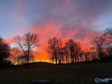 Lake Guntersville Acreage For Sale in Guntersville Alabama