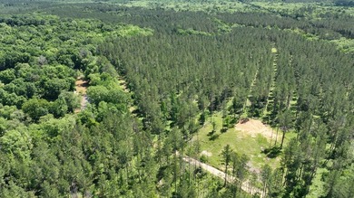 (private lake, pond, creek) Acreage For Sale in Ellisville Mississippi