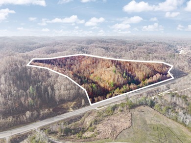 (private lake, pond, creek) Acreage For Sale in Campton Kentucky