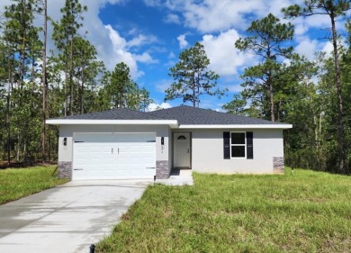 Lake Home For Sale in Dunnellon, Florida
