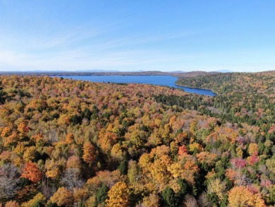 Lake Acreage For Sale in Lowell, Maine