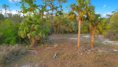 Lake Marion - Polk County Lot For Sale in Poinciana Florida