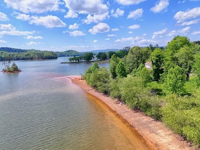 **Unique, large 8.24 acre lakefront tract in the heart of - photo 11