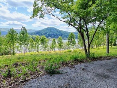 **Unique, large 8.24 acre lakefront tract in the heart of - photo 15