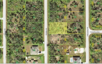 80 X 125 residential lot located in a quiet neighborhood in Port - photo 2