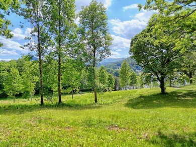 **Unique, large 8.24 acre lakefront tract in the heart of - photo 26