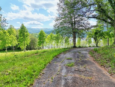 **Unique, large 8.24 acre lakefront tract in the heart of - photo 42