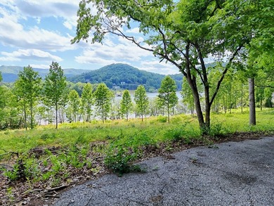 **Unique, large 8.24 acre lakefront tract in the heart of - photo 44