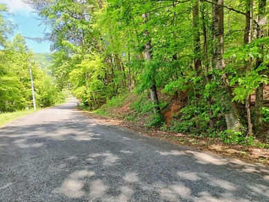 **Unique, large 8.24 acre lakefront tract in the heart of - photo 47