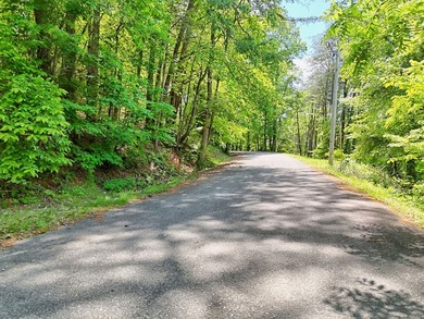 **Unique, large 8.24 acre lakefront tract in the heart of - photo 48