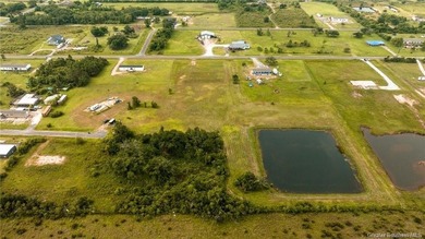 Welcome to your dream opportunity in South Lake Charles - photo 8