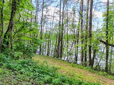 **Unique, large 8.24 acre lakefront tract in the heart of - photo 49