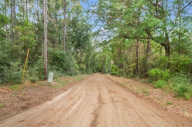 Sabine River - Newton County Acreage For Sale in Burkeville Texas