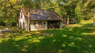 Lake Home For Sale in Remer, Minnesota