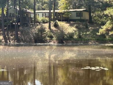 Lake Home For Sale in Forsyth, Georgia