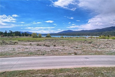 THE LAKE IS UP! CHECK THIS RARE 25 ACRE LAKEFRONT LOT ZONED - photo 4