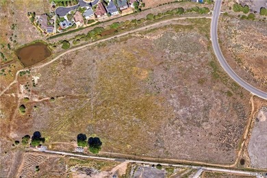 THE LAKE IS UP! CHECK THIS RARE 25 ACRE LAKEFRONT LOT ZONED - photo 5