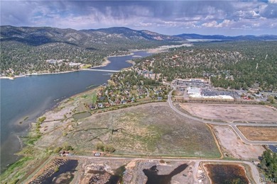 THE LAKE IS UP! CHECK THIS RARE 25 ACRE LAKEFRONT LOT ZONED - photo 7