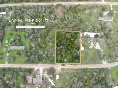 Lake Lot For Sale in Somerville, Texas
