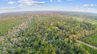 Sabine River - Newton County Acreage For Sale in Burkeville Texas