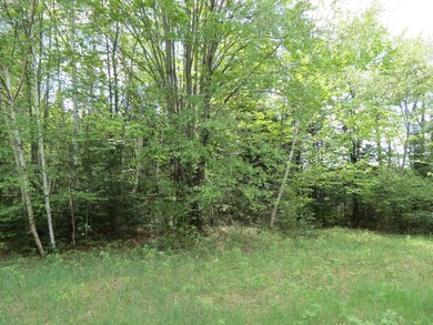 North Fork Flambeau River Lot Active Under Contract in Park Falls Wisconsin