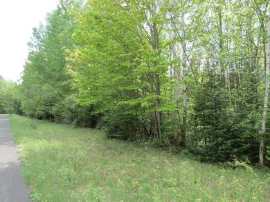 Additional listing photo 1