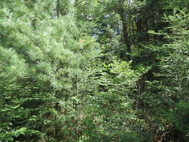 Additional listing photo 3