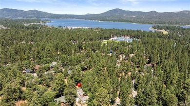 Experience the charm of a nearly century-old Big Bear cabin-full - photo 33