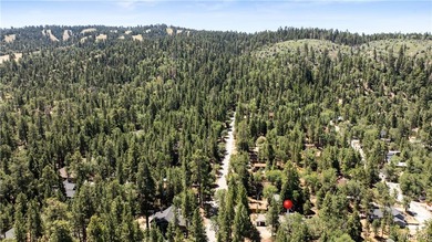 Experience the charm of a nearly century-old Big Bear cabin-full - photo 34