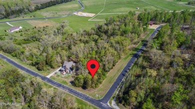 Lake Lot For Sale in Rockwood, Tennessee