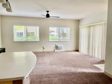 Napili Villas 32 Polohina Ln. #4 Welcome to your dream property - photo 9
