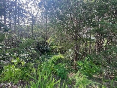 Lake Lot For Sale in Sevierville, Tennessee