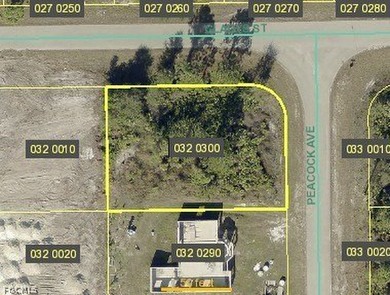 Lehigh Acres Area Lot For Sale in Lehigh Acres Florida