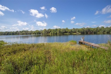 Lake Hewitt Home For Sale in Interlachen Florida
