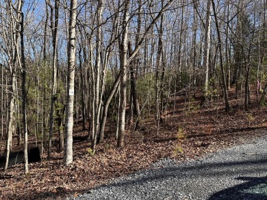 Lake Blue Ridge Lot For Sale in Morganton Georgia