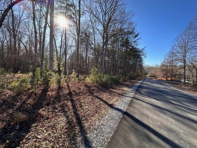 Lake Blue Ridge Lot Sale Pending in Morganton Georgia