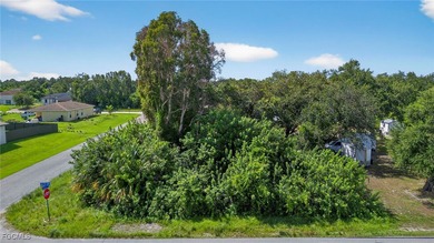 Lehigh Acres Area Lot For Sale in Lehigh Acres Florida