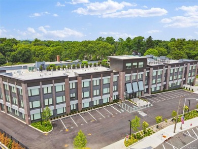 The only new construction condominium building in Great Neck, NY - photo 1